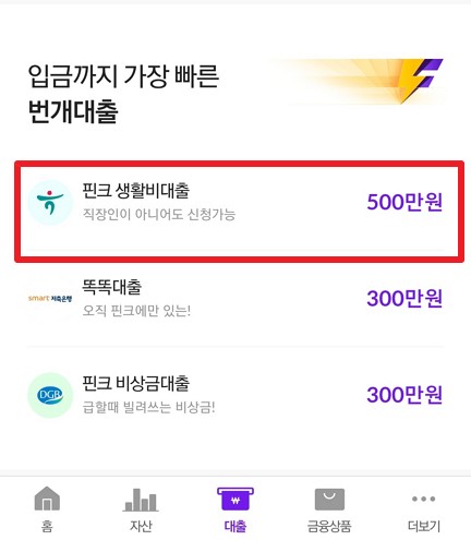 핀크 생활비대출