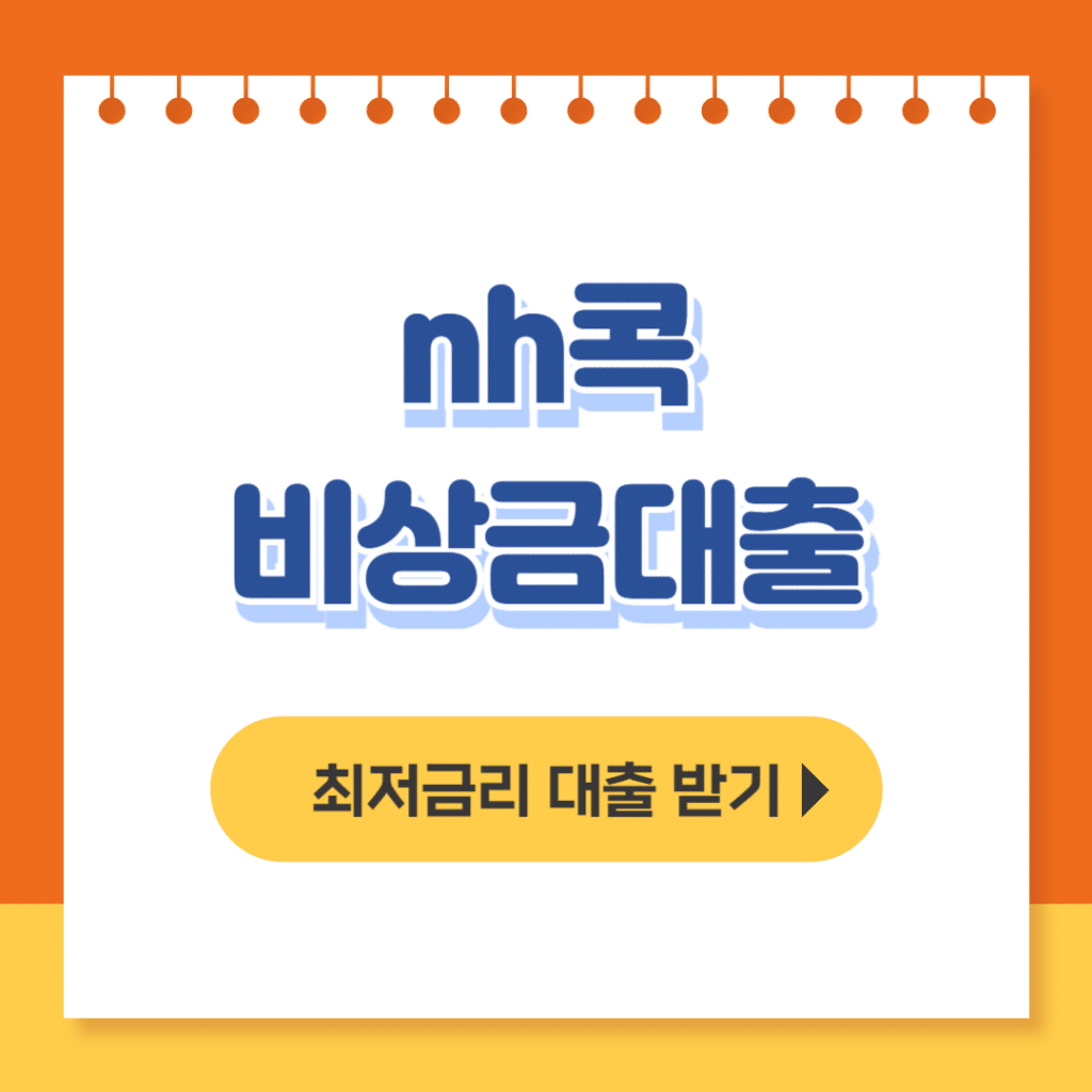 nh콕 비상금대출