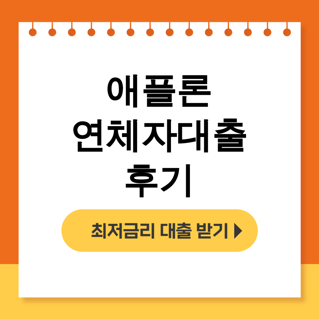 애플론 연체자대출 후기