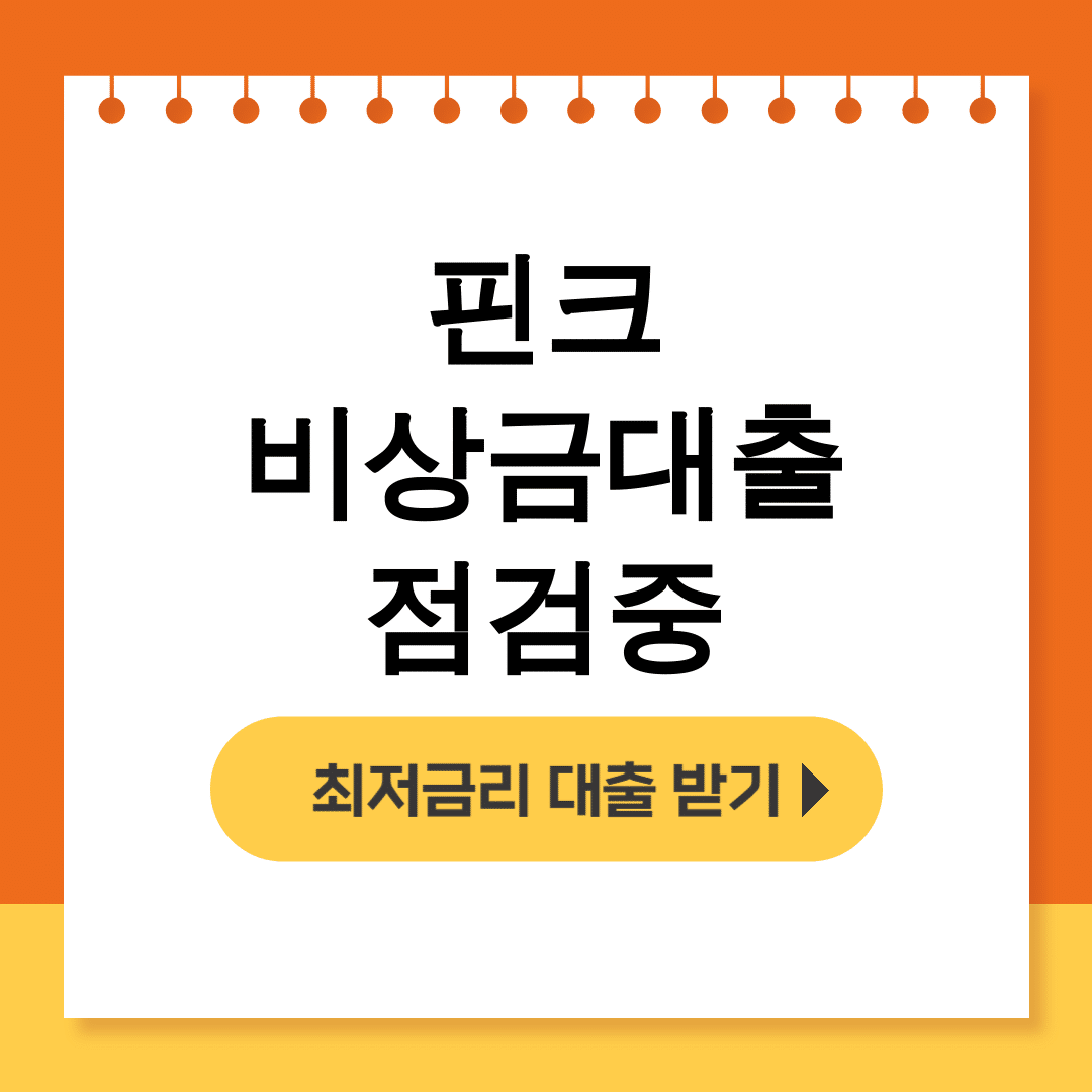 핀크 비상금대출 점검중
